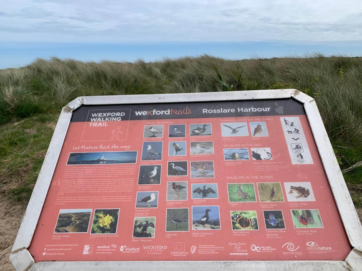 St Martin'S, Rosslare Harbour Guest Accommodation Buitenkant foto
